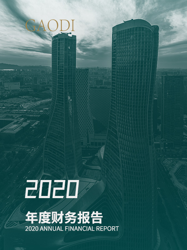 2020财报